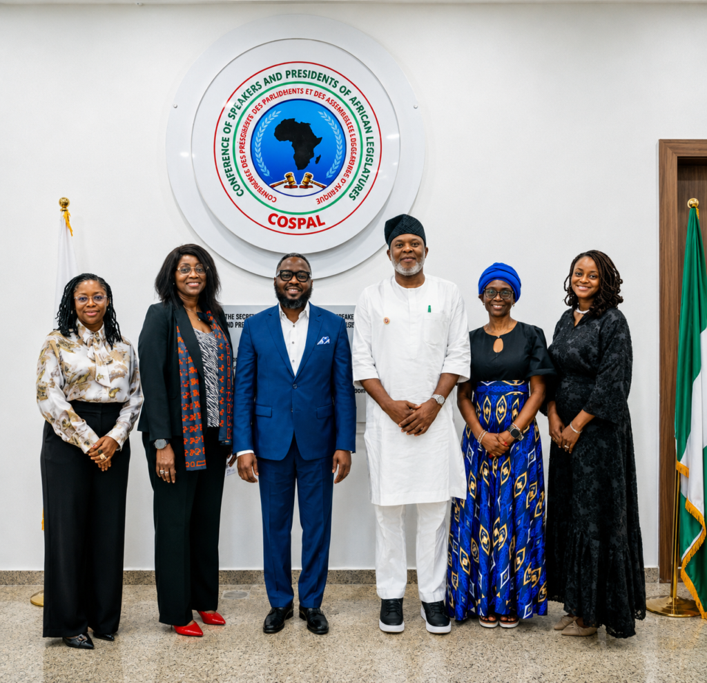 LMI Strategic Meeting: Nwawuba Leads Capacity Review at COSPAL